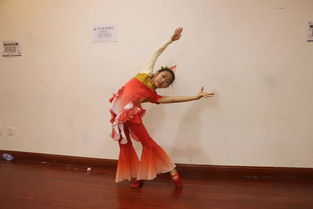 舞蹈北京 歡樂(lè)六一青少年兒童藝術(shù)才藝匯演活動(dòng)回顧