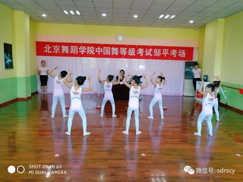 舞動(dòng)少年夢，藝考新篇章——北京舞蹈學(xué)院教材少兒舞蹈考級(jí)鄒平站順利推進(jìn)